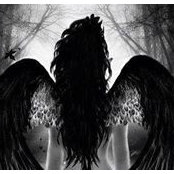 Debbie Webb's photo
