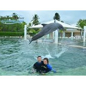 Sepideh Gianos's photo
