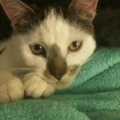 Judith Russo's photo