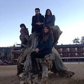 Mohammed Tremasi's photo