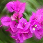 Cassandra Quinsey's photo