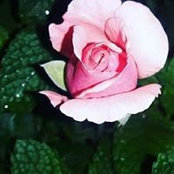 Foto von Vicki Heminger