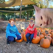 Ann Forsberg's photo