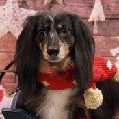 Tina Marie Degati's photo