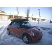 Sylvia Brinckman's photo