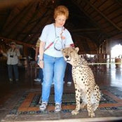Foto de Darleen Talbott
