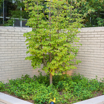 Mid-Century Modern Courtyard