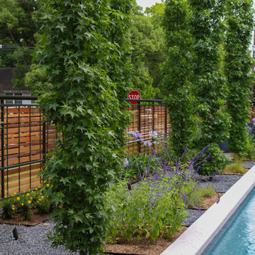 Modern Landscape Houston Heights