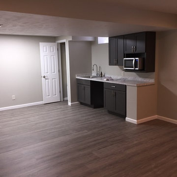 Basement Transformation