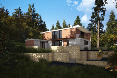 Home design - contemporary home design idea in West Midlands