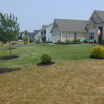 Our Work