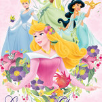 Trends International - Disney Princess Dream Poster, Premium Unframed - Everyone has a favorite movie; TV show; band or sports team.  Whether you love an actor; character or singer or player; our posters run the gamut -- from cult classics to new releases; superheroes to divas; wise cracking cartoons to wrestlers; sports teams to player phenoms.  Trends has them all.