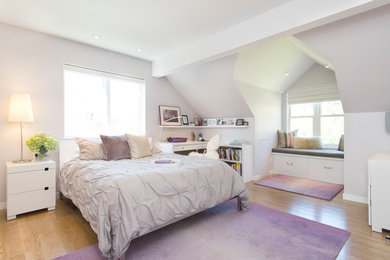 Trendy home design photo in Denver