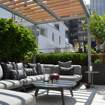 Financial District Penthouse