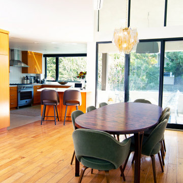 Venice Beach Renovation