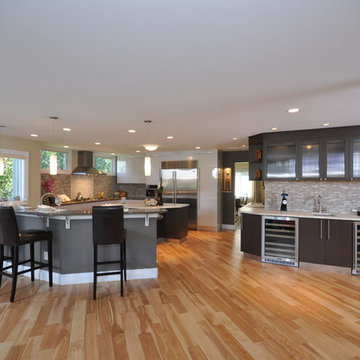 Contemporary Kitchen Addition