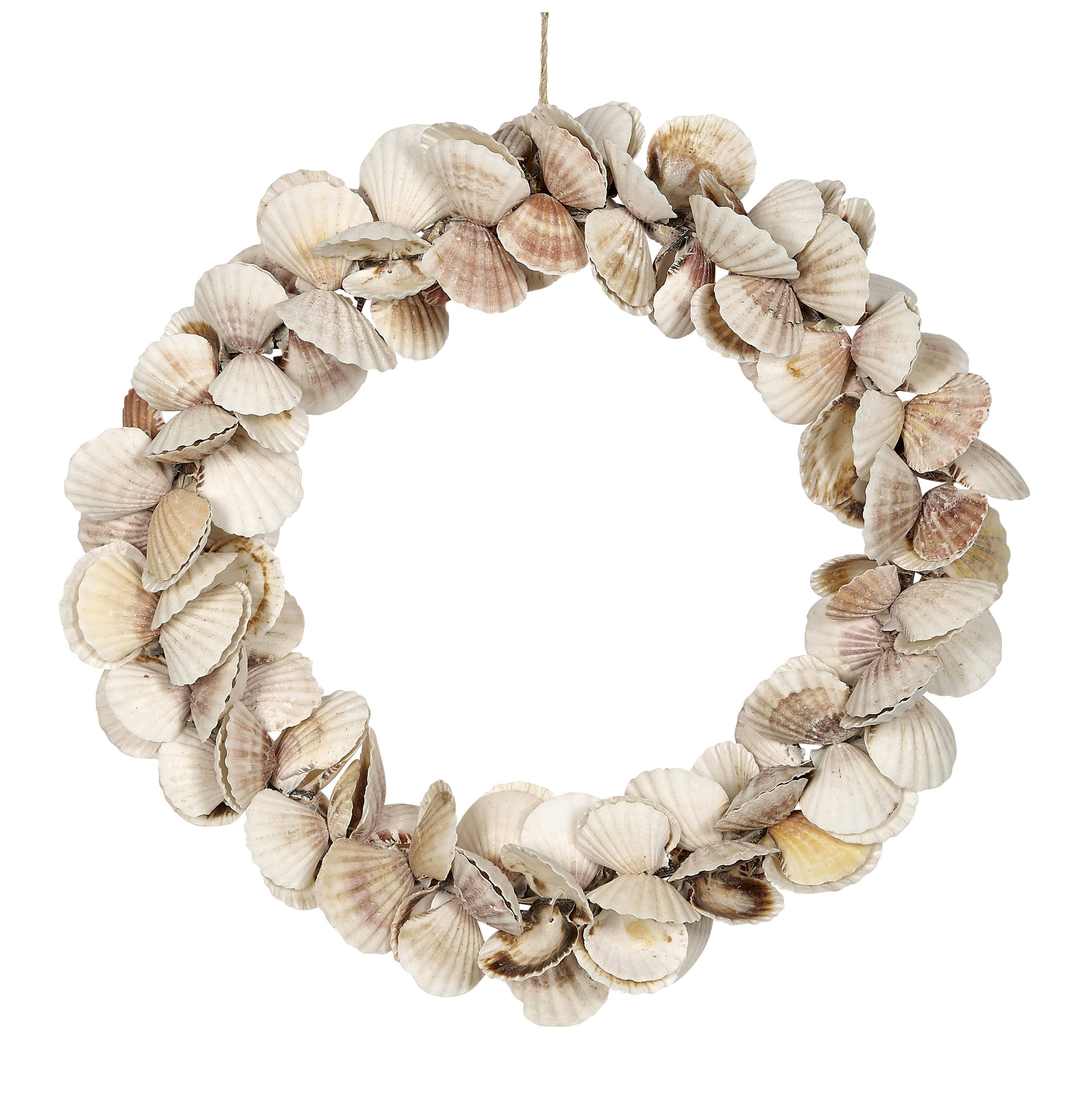 Natural Scallop Shell Wreaths, 14