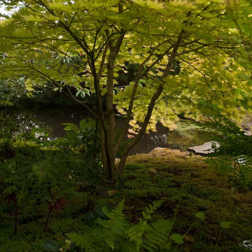 Moss Garden