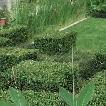 Giardino Liberty