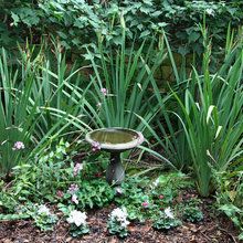 Birdbaths
