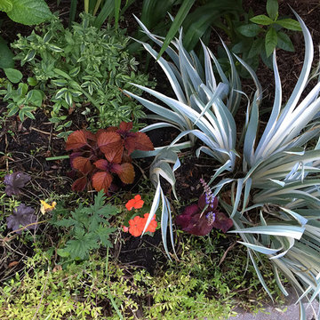 vertical garden | Artistry Landscaping Design
