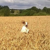 Fay Porter's photo