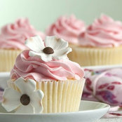 Lily Pink's photo