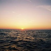 Cathie Young's photo