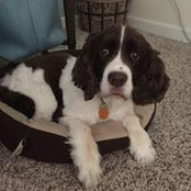 Melissa Gerber's photo