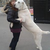 Nada Macica's photo