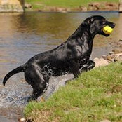 Lynda Heron's photo
