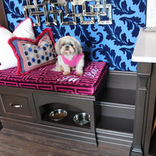 dog bed