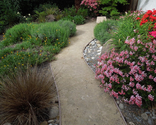 Colorful, Drought Tolerant, Low Maintenance Frontyard and no more lawn