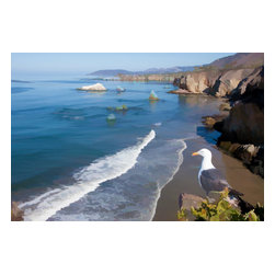 Douglas Page Photographic Arts - Pismo Seagull, Canvas Giclee, 12" X 8" - Prints And Posters