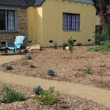 Lawn Removal