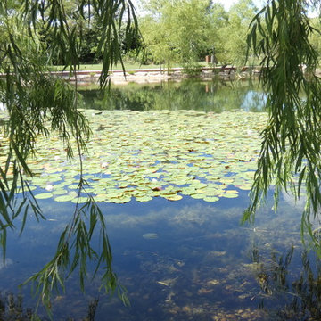 Pond at Radha Madhav Dham Temple