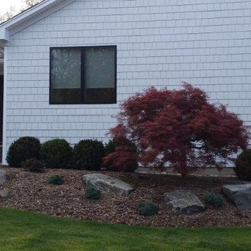 Backyard Designs