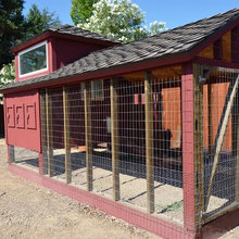 Chicken Coop