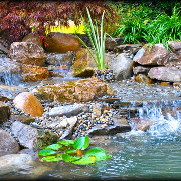 Koi Pond and Waterfall by Full Service Aquatics. Project site Cranford, NJ.