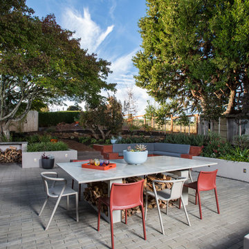 Midcentury Modern patio
