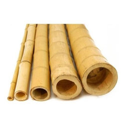 Backyard X-Scapes - Landscaping Supplies. 2 in. D x 8 ft. H Natural Bamboo Poles (10-Piece Bundle) - Curtain Rods