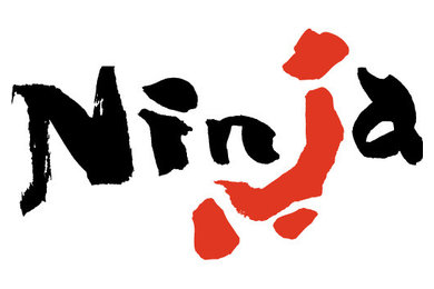Ninja Painters