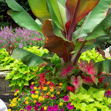 Landscape pots/spots