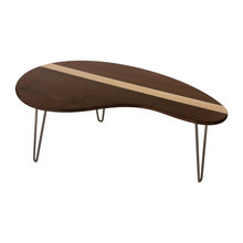 Midcentury Living Area