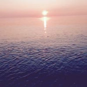 Cathy Bataille's photo