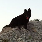 Marcus Babb's photo