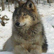 Foto de Heidi Durham
