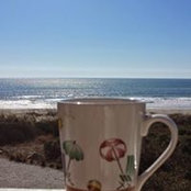 Mari Peterson's photo