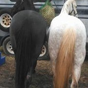 Jane Osborne's photo