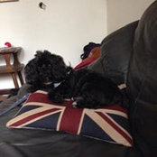 Diego Rodriguez Lasso's photo